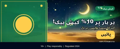تیزی سے پیسے کمانے کا موقع banner image