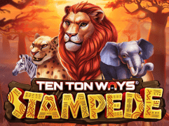 Ten Ton Ways Stampede thumbnail